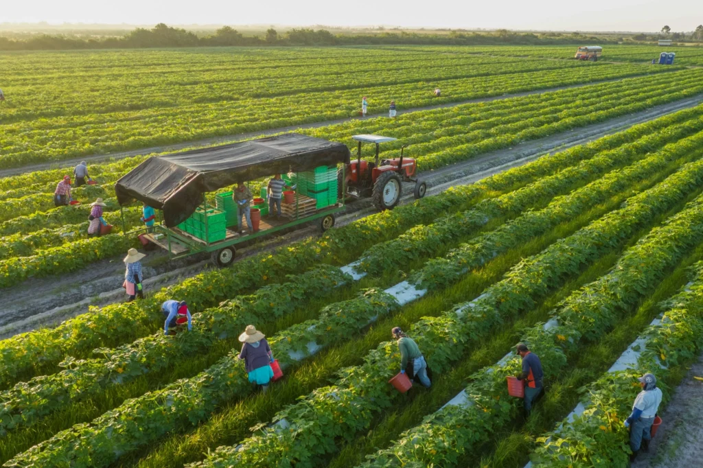 Smart Solutions Transforming Agriculture, Fisheries & Climate Resilience in 2025