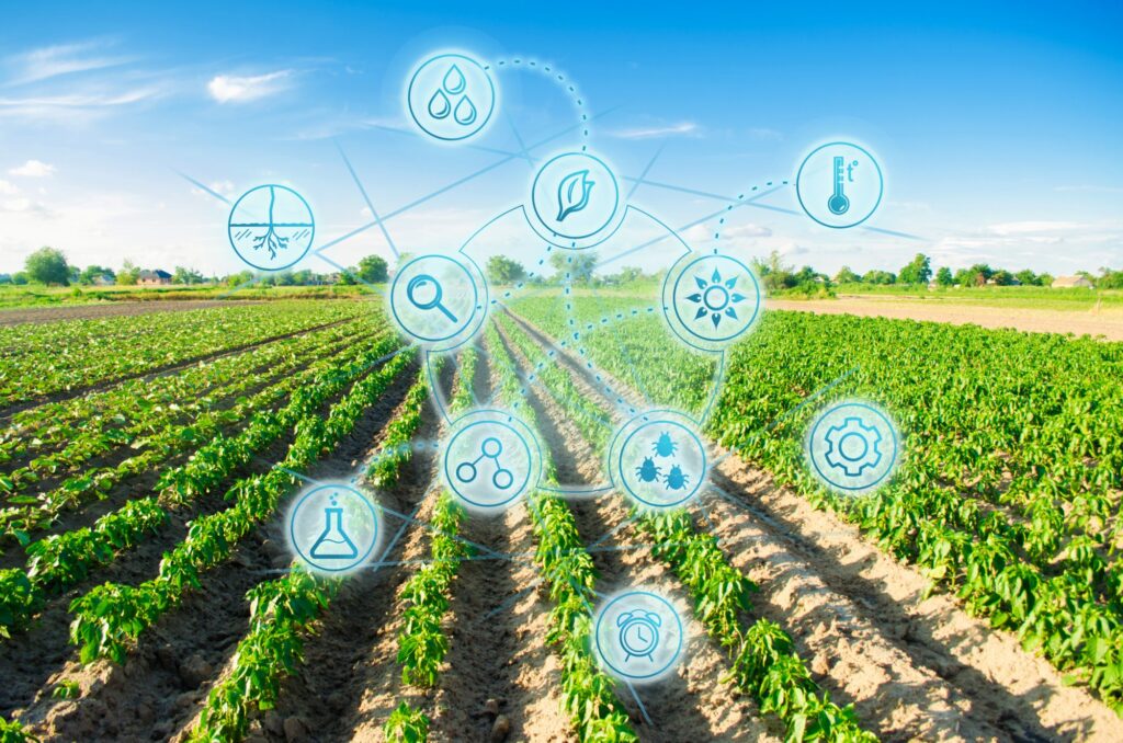 Smart Farming 2025: How Digital Tech Is Reshaping Agriculture for a Sustainable Future