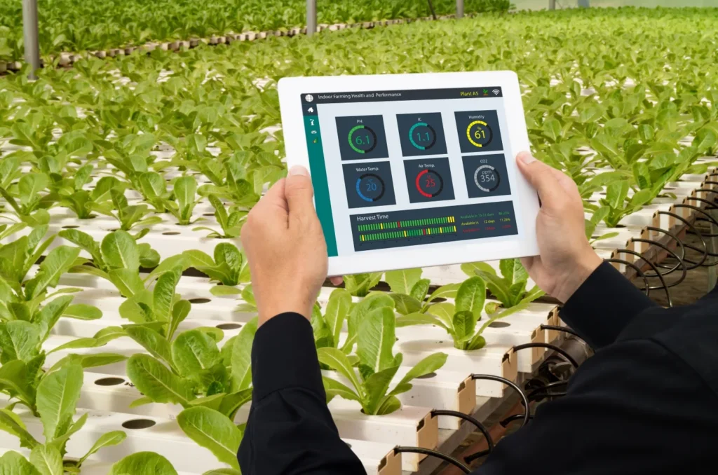 Smart Farming 2025: How Digital Tech Is Reshaping Agriculture for a Sustainable Future