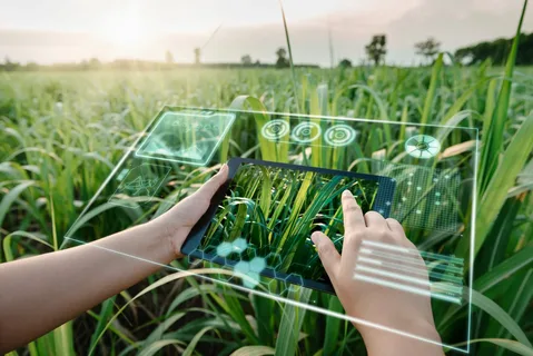 Smart Farming 2025: How Digital Tech Is Reshaping Agriculture for a Sustainable Future