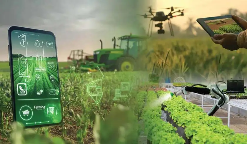 Agri, Fisheries & Climate: The Quiet Heroes Behind Every Meal We Eat
